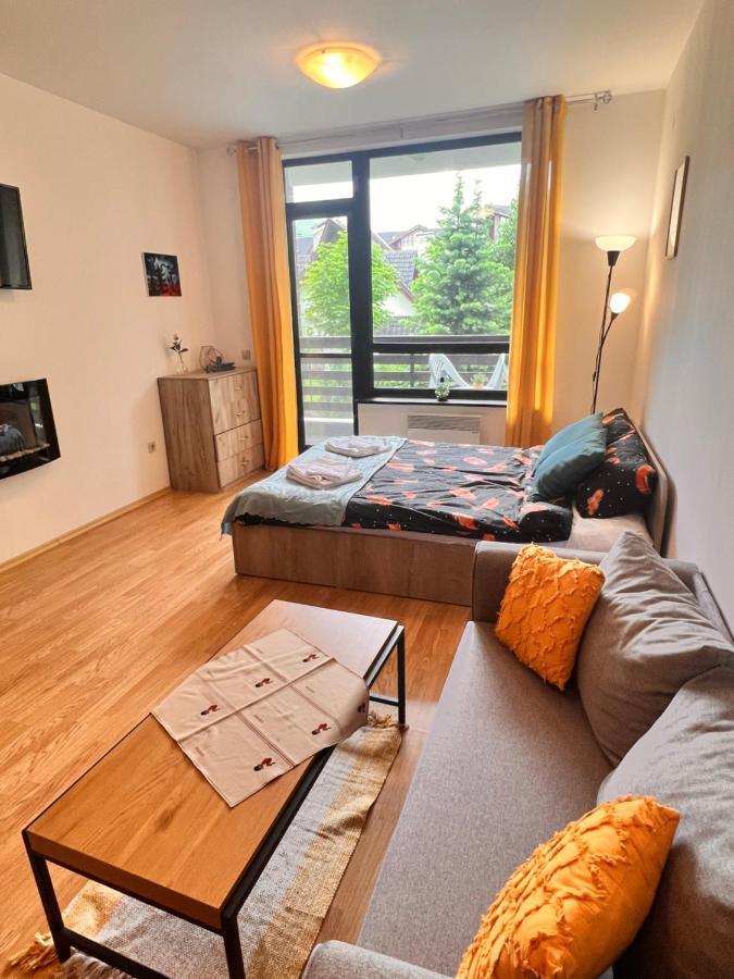 Cosy Studios With Mountain View Near Bansko Razłog Zewnętrze zdjęcie