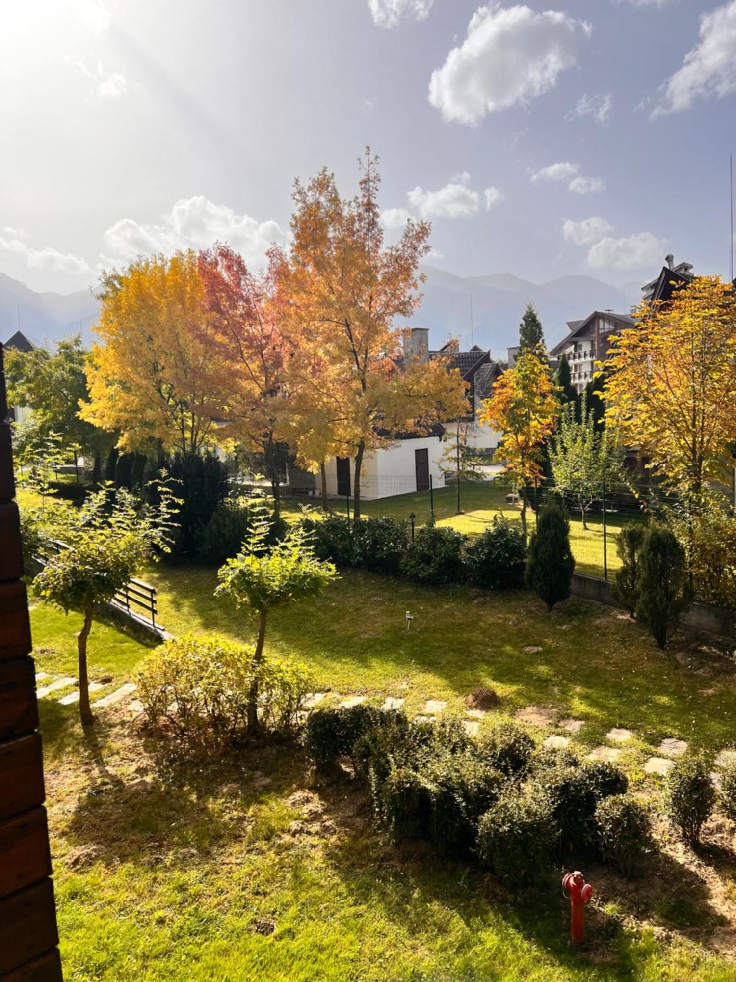 Cosy Studios With Mountain View Near Bansko Razłog Zewnętrze zdjęcie